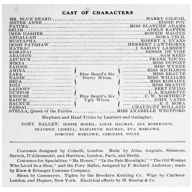 Scene Synopsis 1903 Mr. Bluebeard Iroquois Theater production